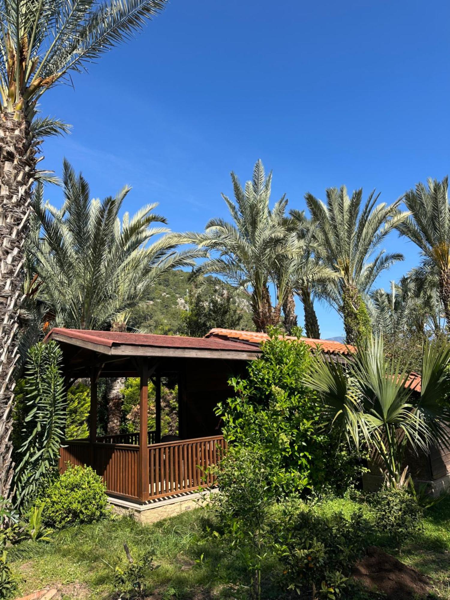 Azur Hotel Çıralı 외부 사진
